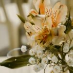 Guia Definitivo: Como Plantar Tomate em Vaso no Quintal e Colher Frutos Abundantes — como plantar tomate em vaso no quintal |