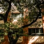 Isolamento Térmico Residencial: O Guia Completo para Reduzir Drasticamente Suas Contas de Energia — isolamento termico casa r