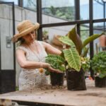 Jardinagem para Iniciantes: O Guia Definitivo do Que Plantar Primeiro para Cultivar com Confiança — jardinagem para iniciante