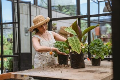 Jardinagem para Iniciantes: O Guia Definitivo do Que Plantar Primeiro para Cultivar com Confiança — jardinagem para iniciante