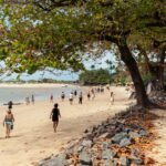 As Melhores Praias do Brasil para Visitar no Verão: Seu Guia Completo para Destinos Paradisíacos — melhores praias do brasil