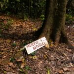 Turismo Ecológico no Brasil: Destinos Paradisíacos para Amantes da Natureza e Aventura Sustentável — turismo ecológico no bra